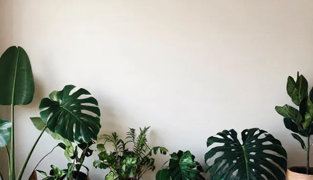 深度保洁套餐服务有哪些常见误区？