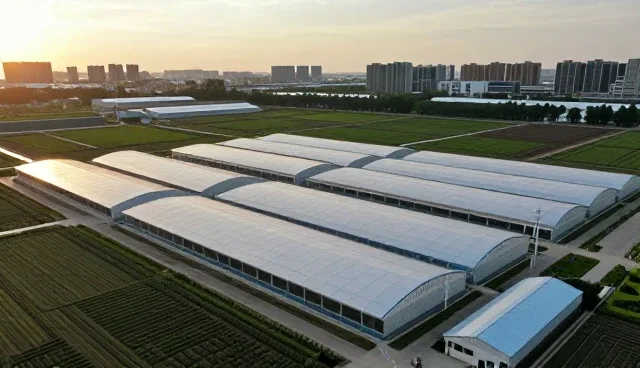 提升清洁效率的实用建议与日常维护指南