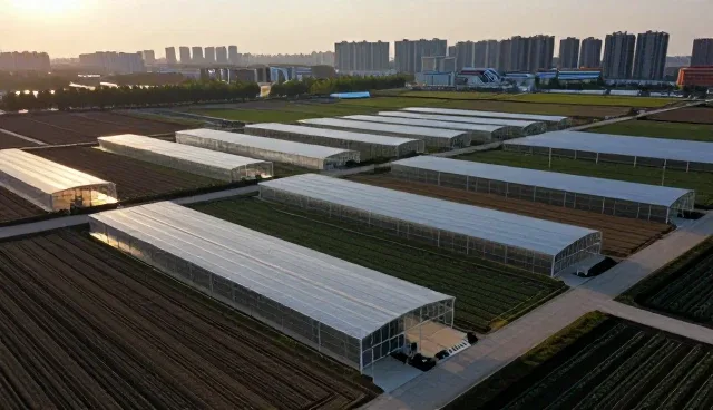 绿化养护行业配套体系构建对业务发展的推动作用